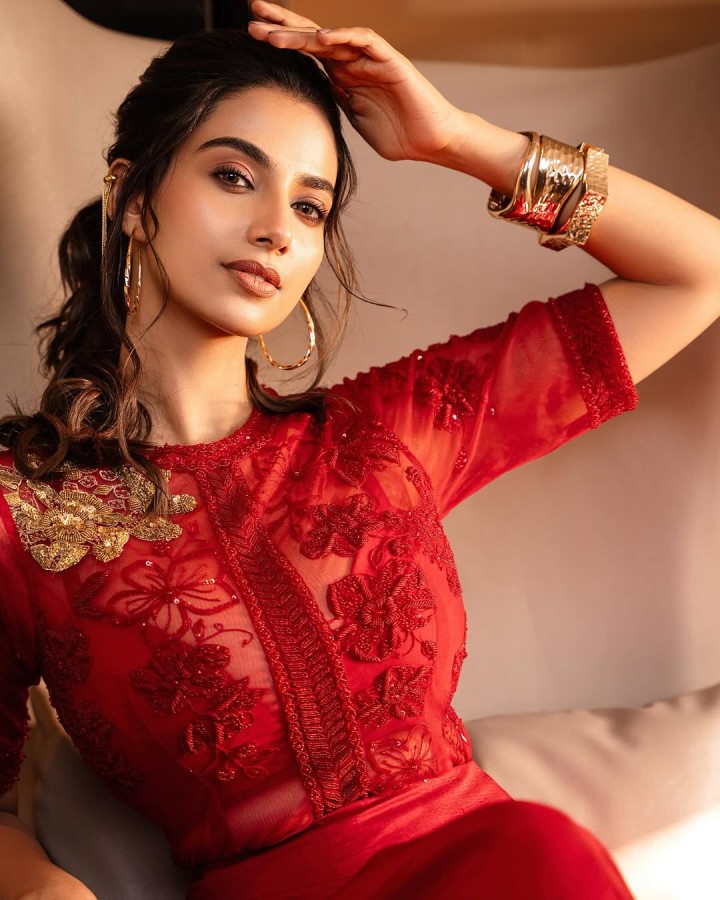 மீனாட்சி சௌத்ரி