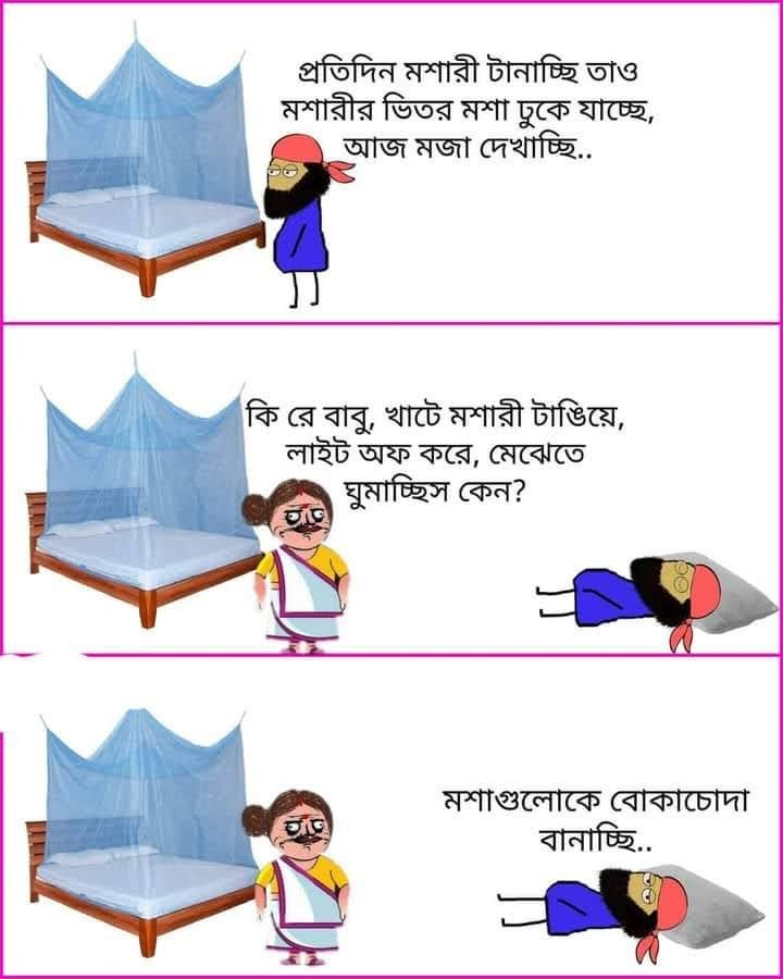 অথ মশারি কথা...
