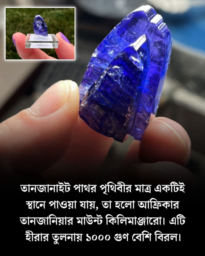 তানজাইট পাথর বিশ্বের অন্যতম দামি পাথর গুলির মধ্যে অন্যতম।