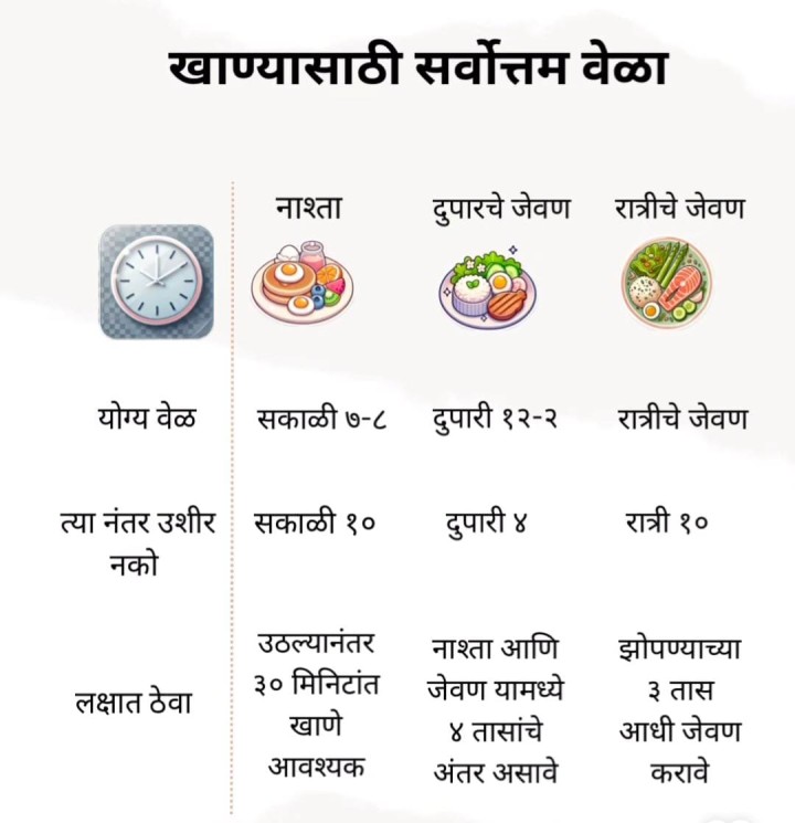 खाण्यासाठी उत्तम वेळ