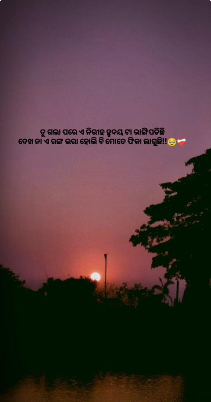 ନୀରିହ ହୃଦୟ ଭାଙ୍ଗି ପଢିଛି