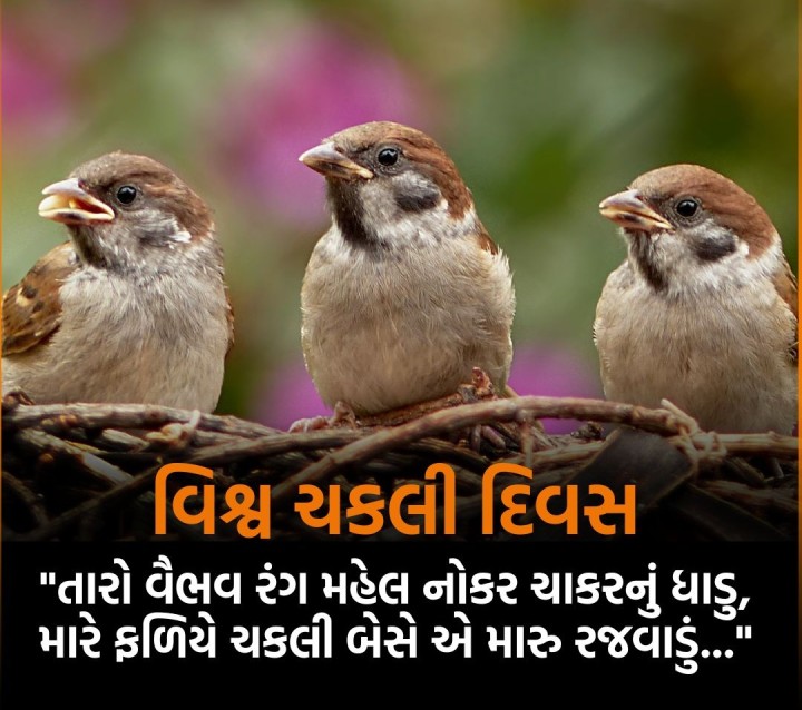 તમારા મિત્રોને શેર કરવું ભૂલશો નહીં