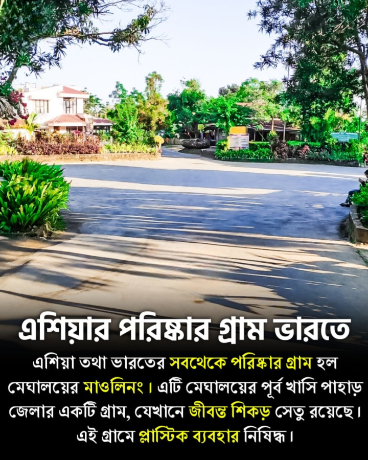 এশিয়ার সব থেকে পরিষ্কার গ্রাম আছে এই দেশেই। নাম তাঁর মাংলিং।