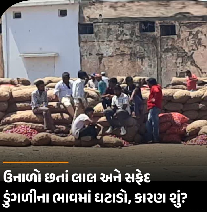 ભાવનગર: જિલ્લો ડુંગળી પકવવાનું પીઠું ગણવામાં આવે છે. અહીં ખેડૂતો લાલ અને સફેદ બે પ્રકારની ડુંગળીનું વાવેતર કરે છે. ગરમીની ઋતુમાં ડુંગળીની માંગ સામાન્ય રીતે વધુ જોવા મળે છે. આ બંને પ્રકારની ડુંગળીઓ ગ્રાહકો તેમના સ્વાદ અનુસાર ખરીદતા હોય છે. જોકે મળતી માહિતી અનુસાર, ભાવનગર માર્કેટિંગ યાર્ડમાં લાલ ડુંગળીની આવક ઘટી છે જ્યારે સફેદની આવક બમણી થઈ છે. આમ છતાં બંને ડુંગળીના બજાર ભાવમાં ઘ