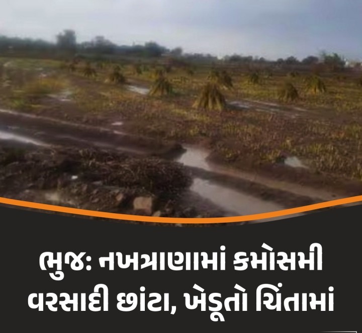 ભુજ:ધીમે ધીમે વધતી ગરમી વચ્ચે આજે પશ્ચિમ કચ્છના ભુજ અને નખત્રાણા વિસ્તારમાં આજે અચાનક વાતાવરણ પલટાયું હતું. પંથકમાં બપોર બાદ આકાશમાં વાદળછાયું વાતાવરણ સર્જાયું હતું અને છૂટાછવાયા છાંટા વરસ્યા હતા. જેના પગલે ખેડૂતો ચિંતામાં મુકાયા હતા. ખાસ કરીને કેરીને પાકને નુકસાન થવાની ભીતિ સર્જાઈ છે.