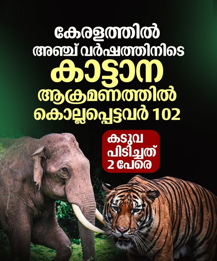 എല്ലാവര്‍ഷവും കേരളത്തില്‍ ഇരുപതിലധികം പേരാണ് കാട്ടാനകളുടെ ആക്രമണത്തില്‍ കൊല്ലപ്പെട്ടത്