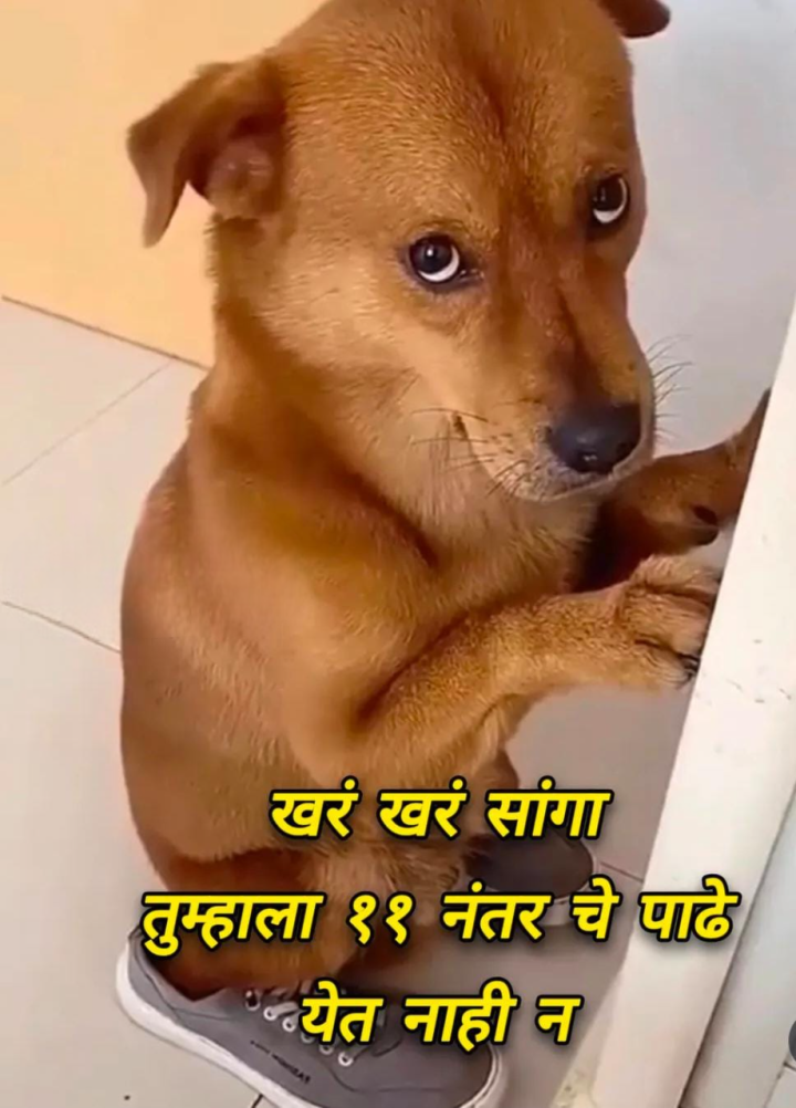 खरं खरं सांग