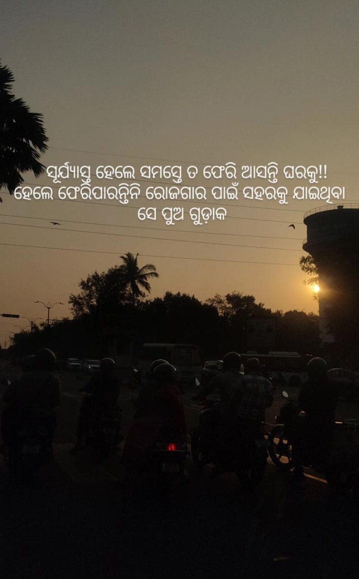 ସୂର୍ଯ୍ୟାସ୍ତ ହେଲେ ସମସ୍ତେ ଫେରି ଆସନ୍ତି