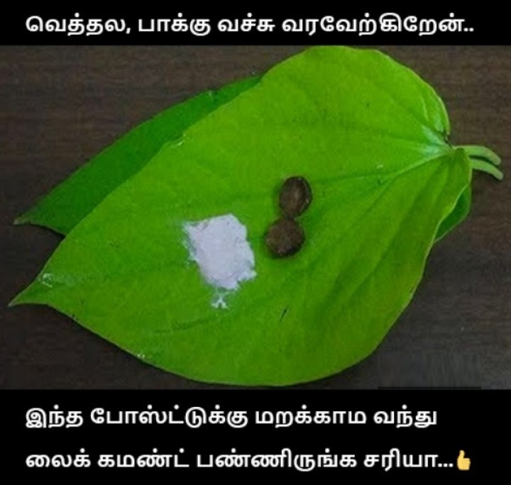 வெறும் வாயில் வெற்றிலை பாக்கு போட சொல்ரிங்களா