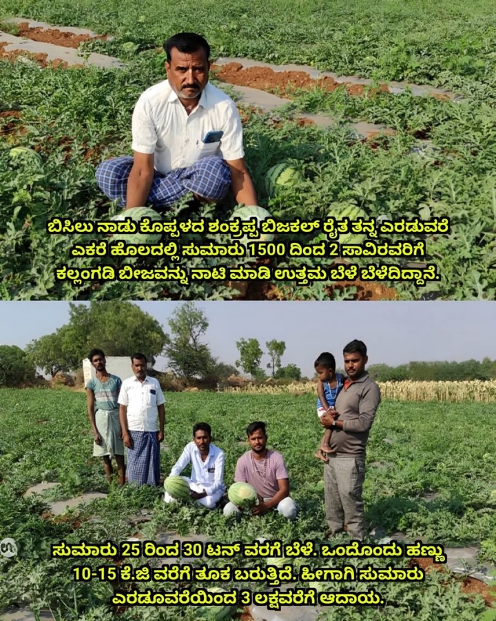 ಹೀಗಾಗಿ ಸುಮಾರು ಎರಡೂವರೆಯಿಂದ 3 ಲಕ್ಷವರೆಗೆ ಆದಾಯ