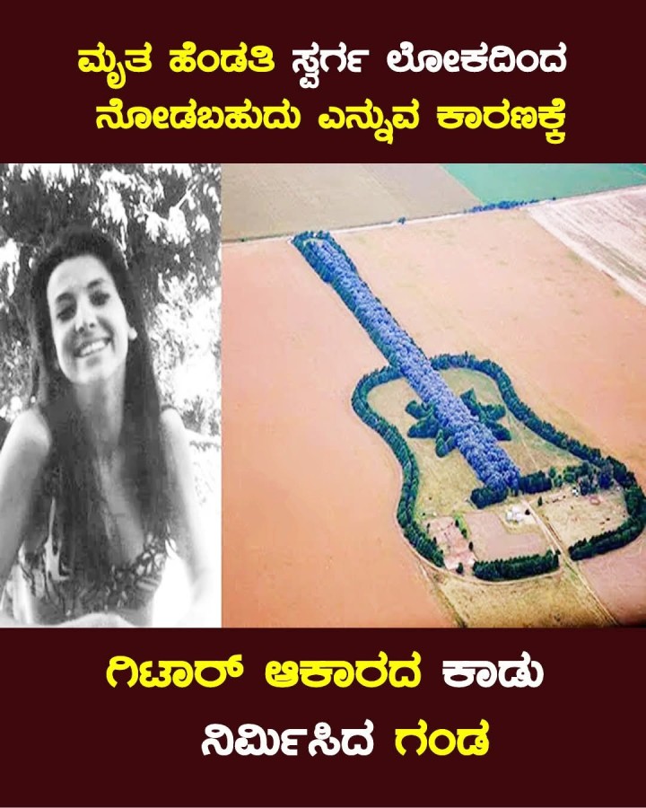 ಗಿಟಾರ್ ಆಕಾರದ ಕಾಡು ನಿರ್ಮಿಸಿದ ಗಂಡ