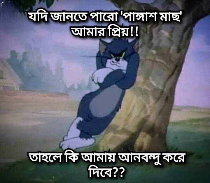 আনবন্দু করার হাজারো কারণের এক কারণ?