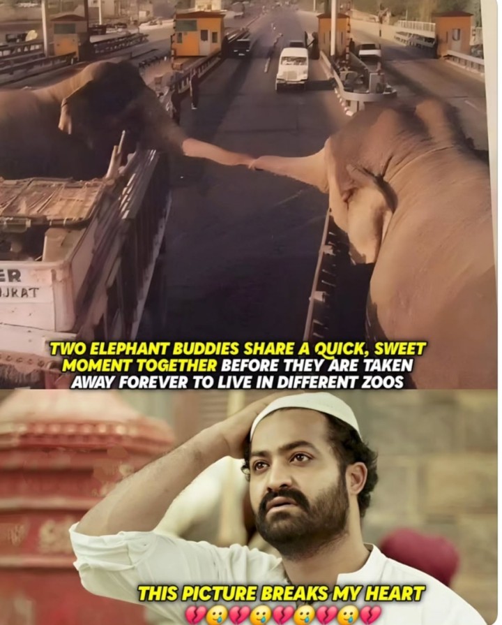 Idi chuste meekkuda badanipinchinda