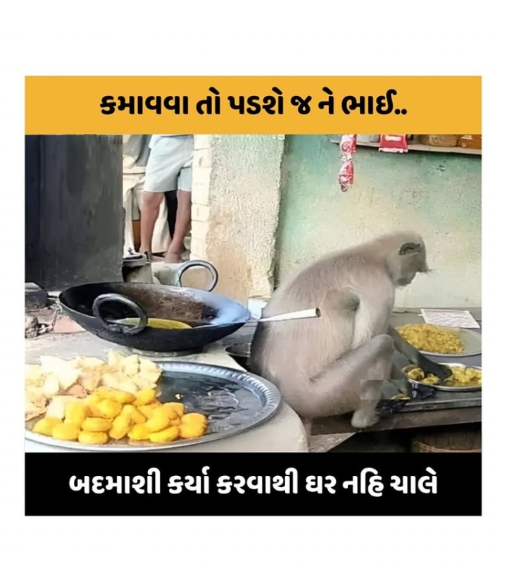 આજ તો મજાની મોજ છે! જુઓ અને હસો