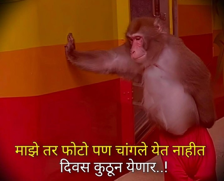 चांगले दिवस