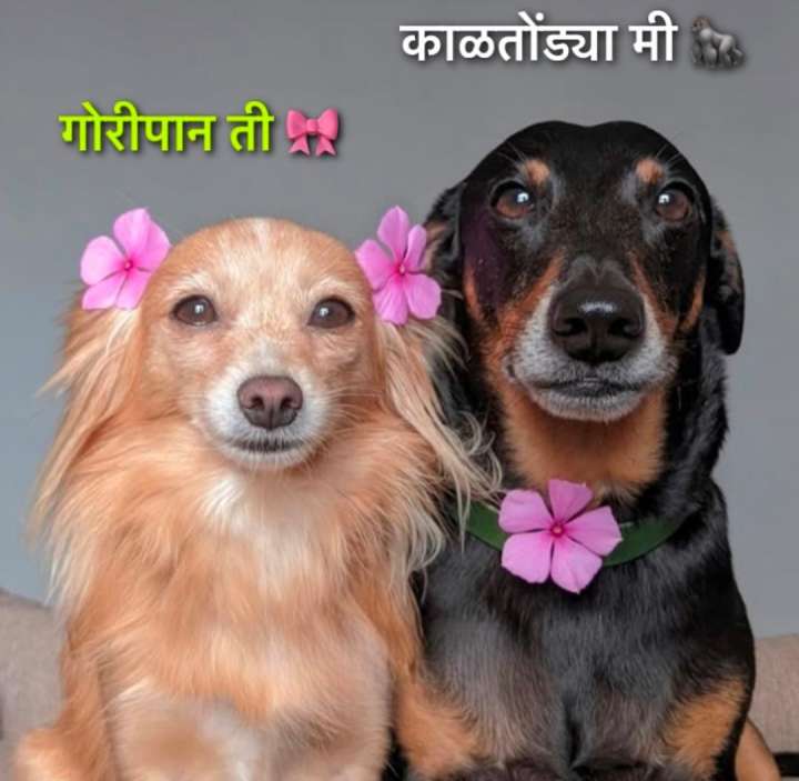 आमच्यातील फरक