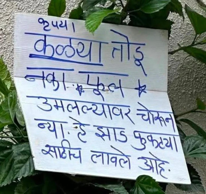 कळ्या तोडू नका