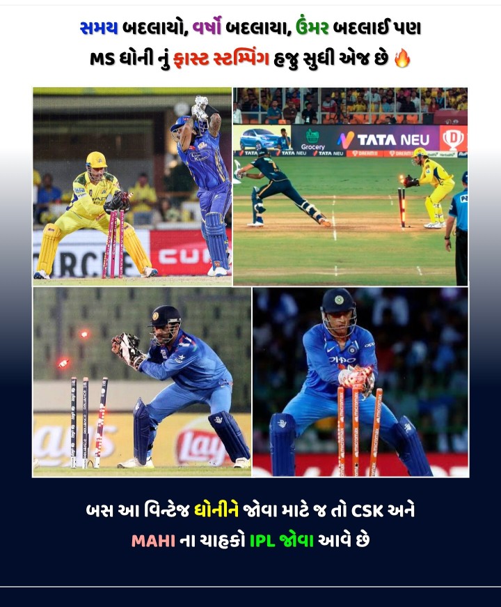વિન્ટેજ ધોની