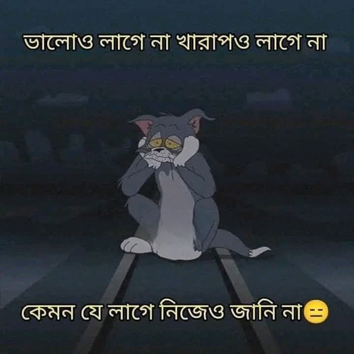 কেমন লাগে নিজেও জানিনা।