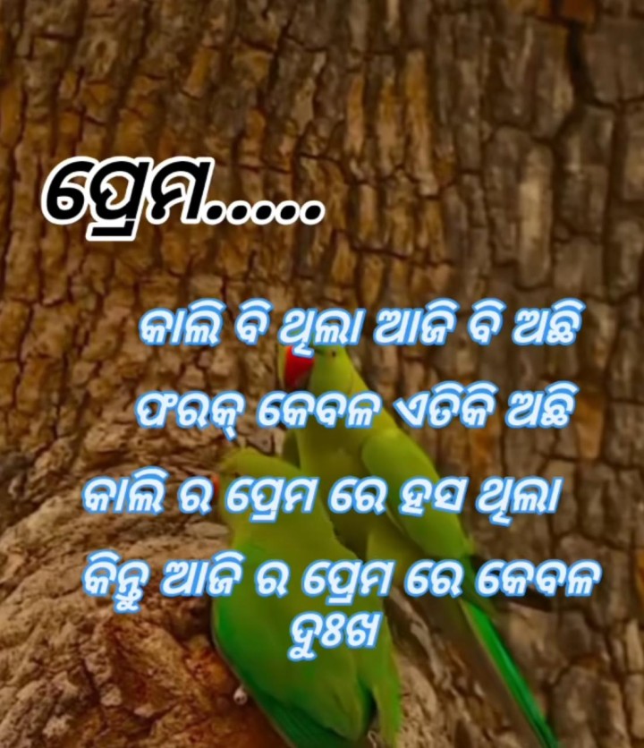 ପ୍ରେମ କାଲି ବି ଥିଲା ଆଜି ବି ଅଛି