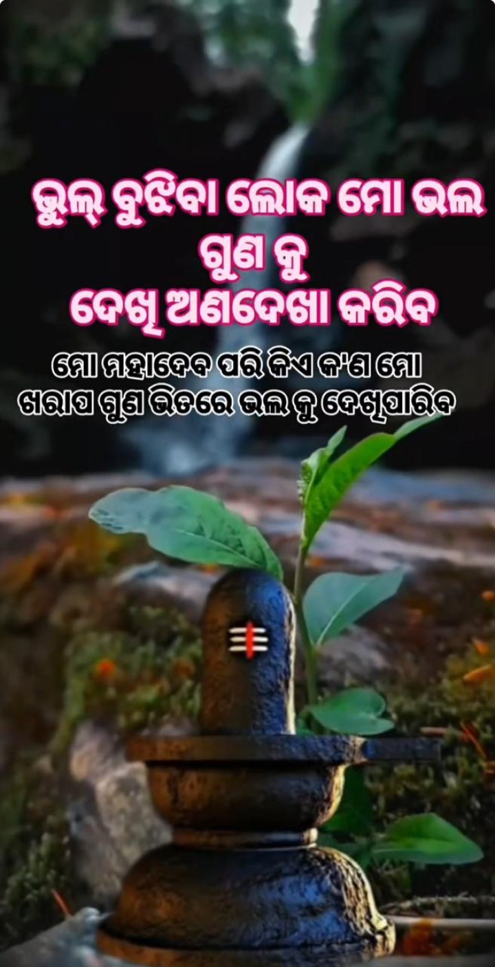 ଭୁଲ ବୁଝିବା ଲୋକ