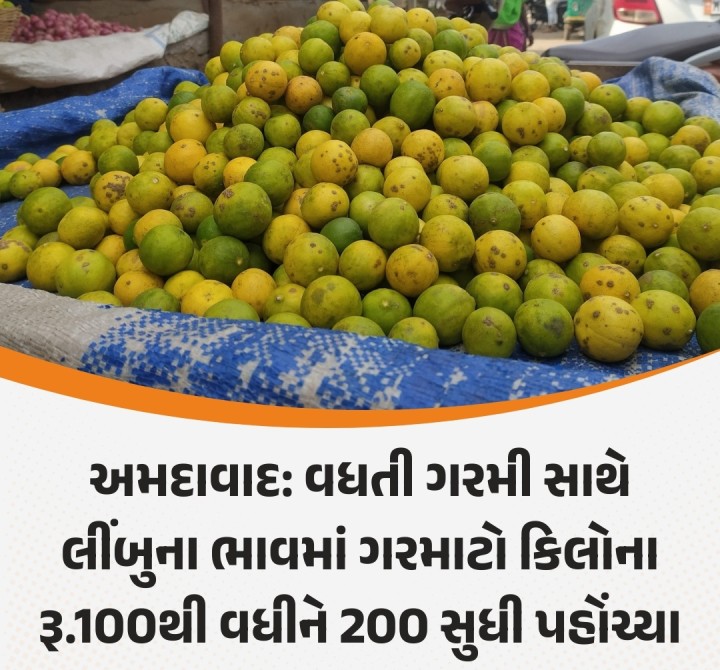 ઊનાળાની શરૂઆત સાથે જ ગરમીનો પારો પણ વધ્યો છે અને સ્વાસ્થ્ય માટે અમૃત સમાન લીંબુના ભાવમાં પણ જોરદાર ઉછાળો જોવા મળી રહ્યો છે. બે સપ્તાહ પહેલાં રૂ. 80થી 100ના કિલો વેચાઇ રહેલા લીંબુના ભાવ હાલ રૂ. 180થી 200ના કિલો સુધી પહોંચી જતા લીંબુના ભાવમાં સખત ખટાશ આવી ગઇ છે. વેપારીઓનું કહેવું છે કે, ઊનાળાની સિઝનમાં લીંબુની માગ વધી જતા અને આવક ઓછી થતા ભાવ વધારો થયો છે. અલબત્ત, હાલ તો લીંબુના ભાવ શેરમાર્કેટ 