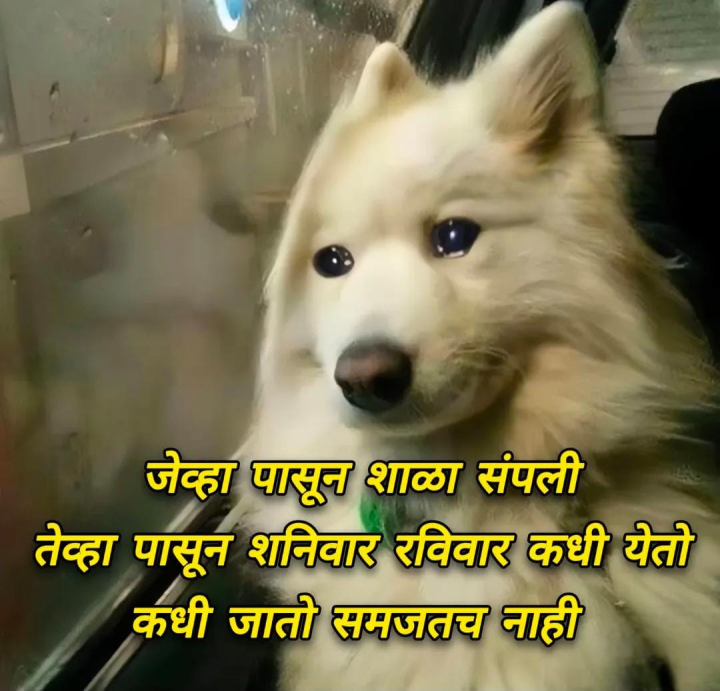 कॉर्पोरेट मजदूर