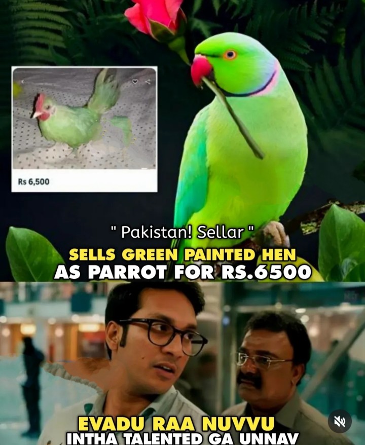 Kodini chiluka ani namminchadu