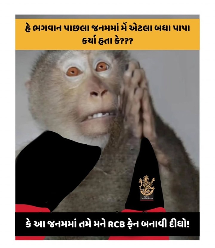 તમારા માટે ખાસ, એક મજા ભરેલું પળ