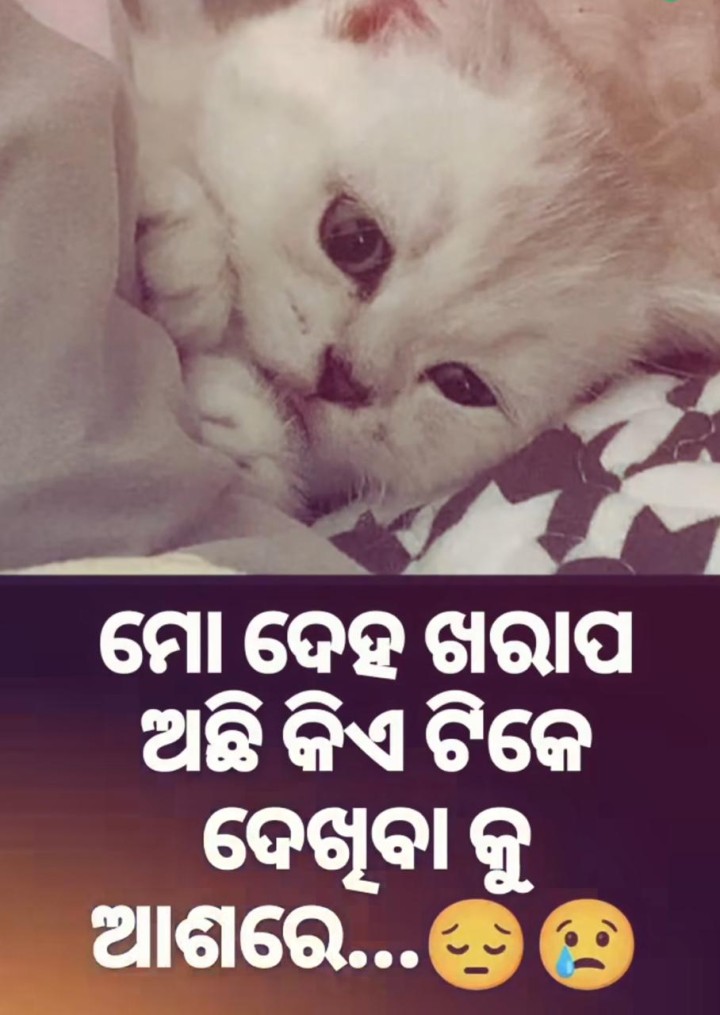 ମୋ ଦେହ ଖରାପ ଅଛି ରେ