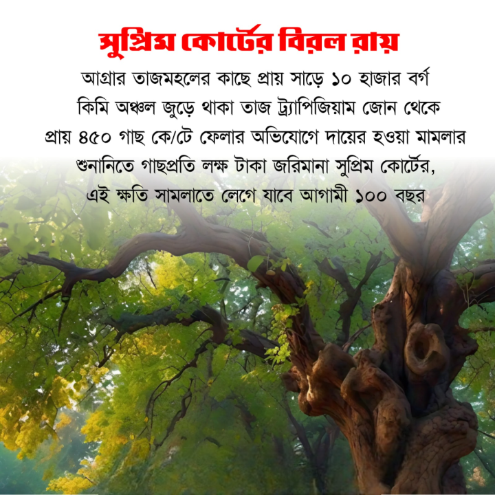 সুপ্রিম কোর্টের এই যুগান্তকারী রায়ের বিষয়ে জানতেন?
