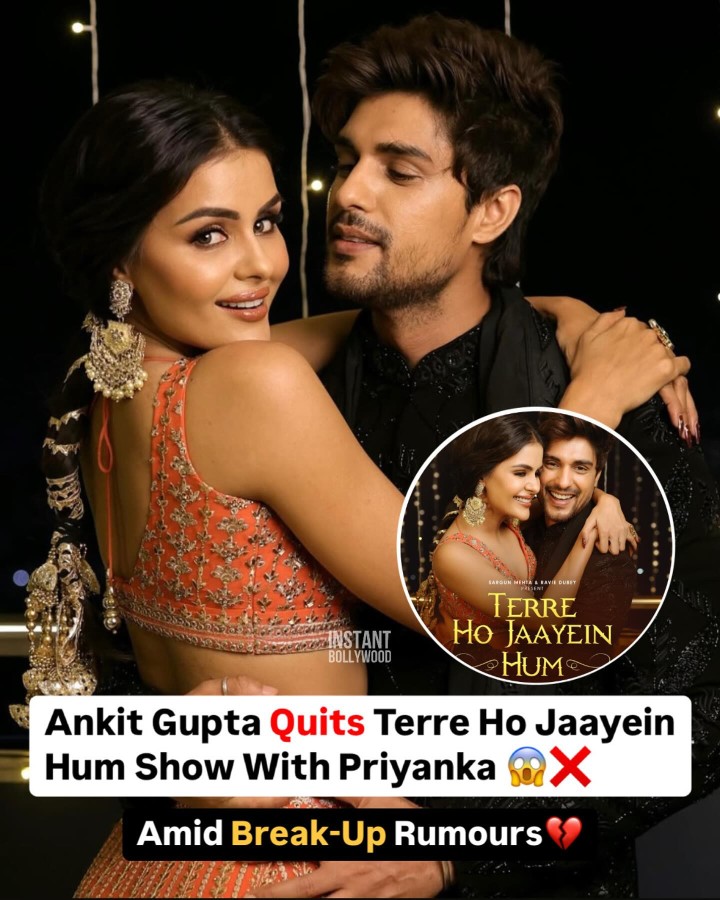 Ankit Gupta and Priyanka Chahar Choudhary had long been rumoured to be dating.