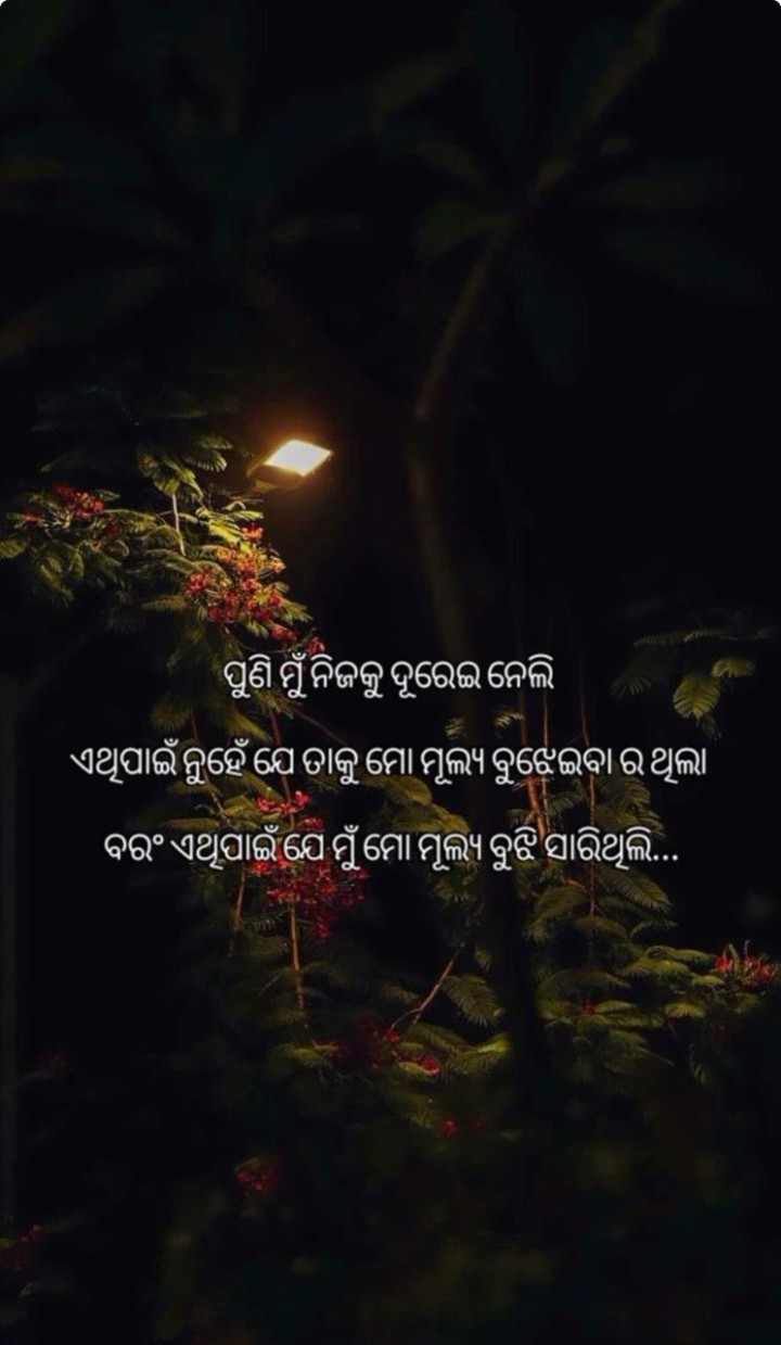 ପୁଣି ନିଜକୁ ଦୁରେଇ ନେଲି