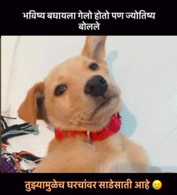 भविष्य बघायला गेलो तेव्हा