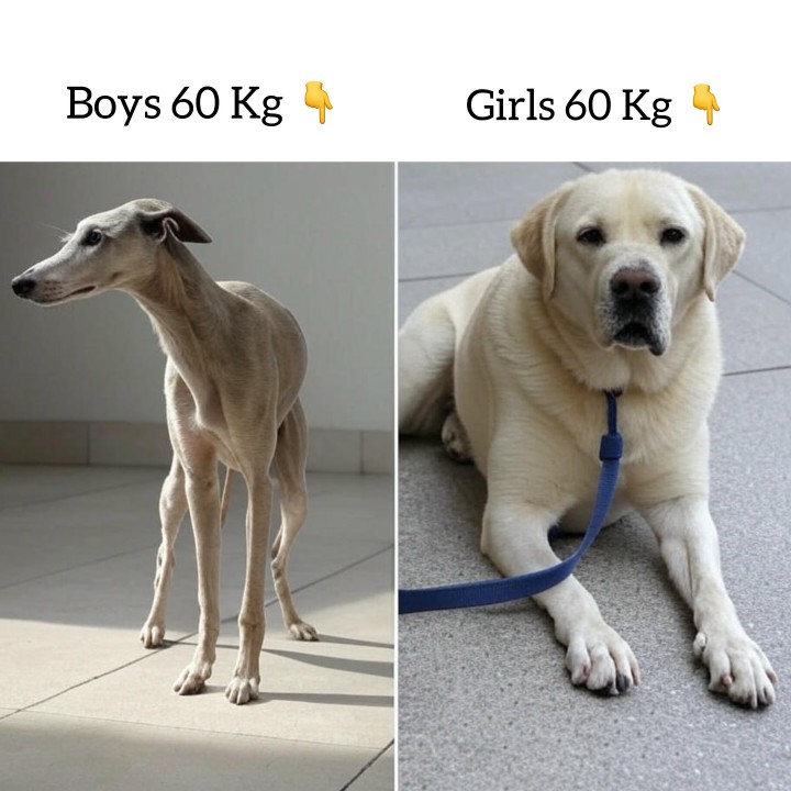 True or not