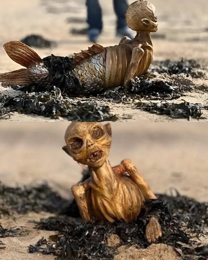 સત્ય કે દાવો?