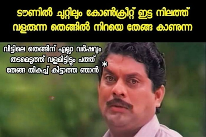 അതുപോലെ റോഡ് സൈഡിലെ മാവ് മുരിങ്ങ ഓമക്ക എല്ലാം അങ്ങന അതെന്താ
