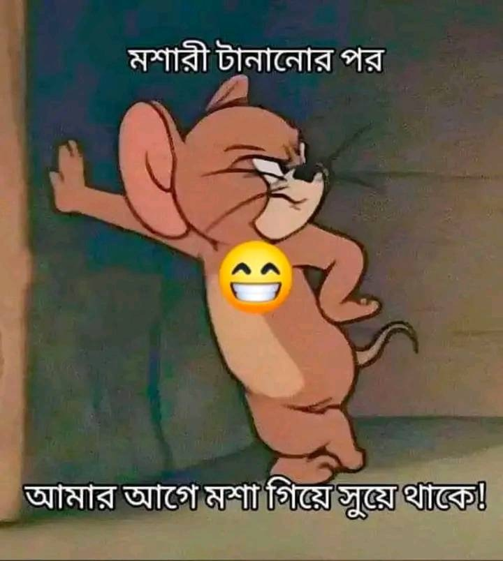 মশা ও আমি!