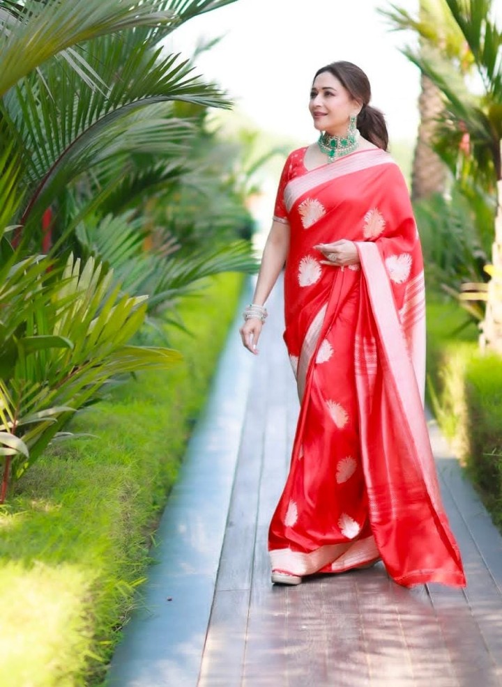 मधुर देखणी  माधुरी