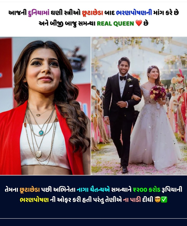 તમારા માટે ખાસ: વાયરલ ન્યૂઝની સંપૂર્ણ માહિતી!