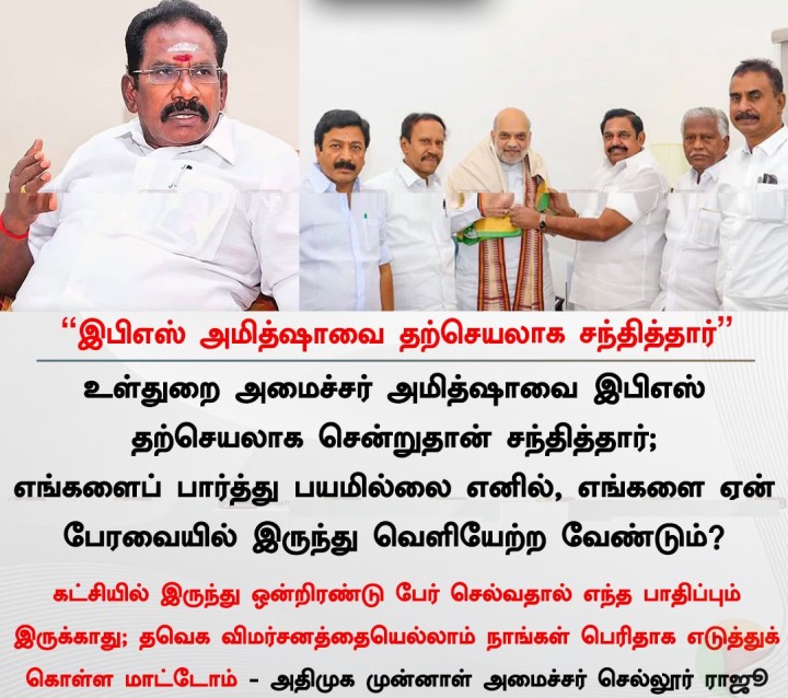 இபிஎஸ் அமித்ஷாவை தற்செயலாக சந்தித்தார் - செல்லூர் ராஜூ