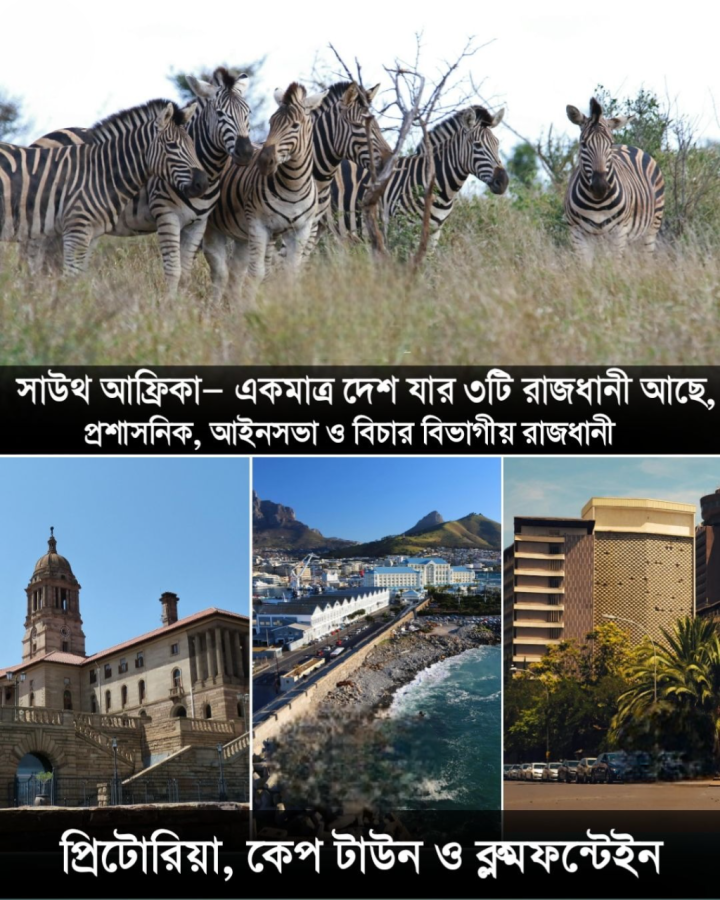 জানেন কি দক্ষিণ আফ্রিকার আছে তিনটি রাজধানী।