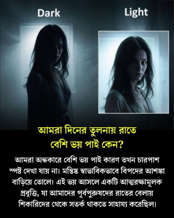 রাতে কেন ভয় বেশি পায়?