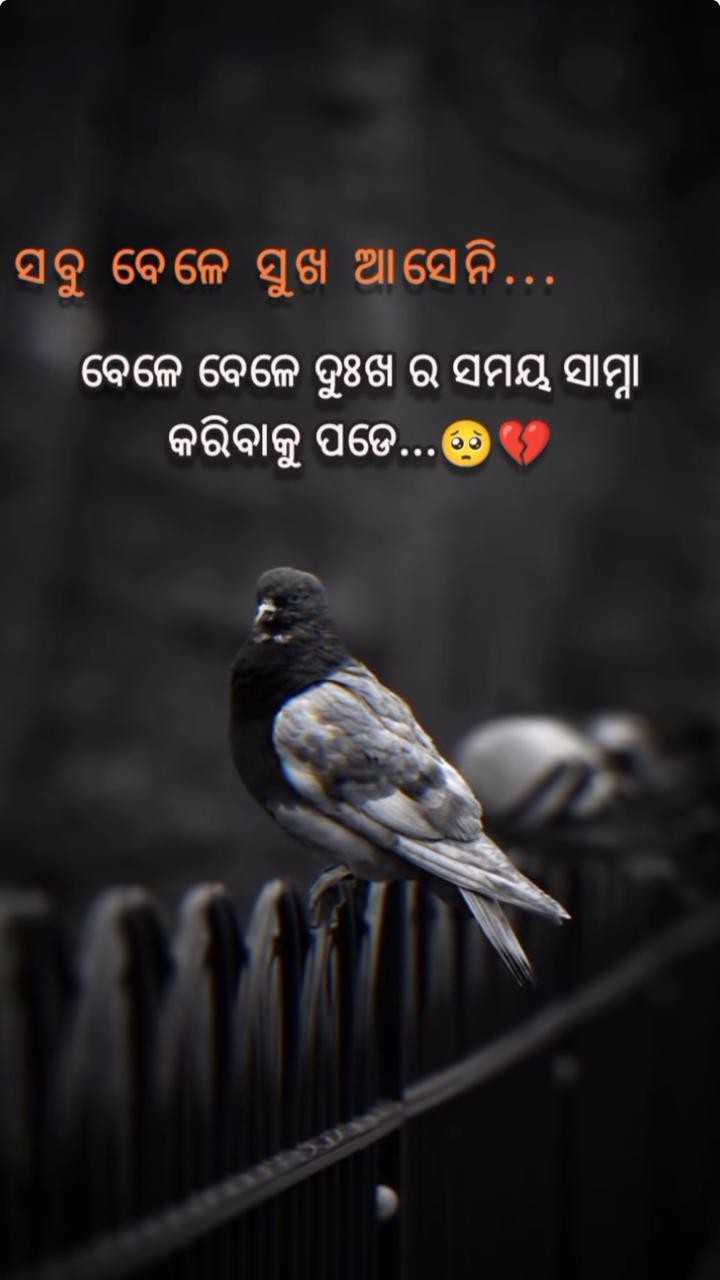 ସବୁ ବେଳେ ଖୁସି ଆସେନି