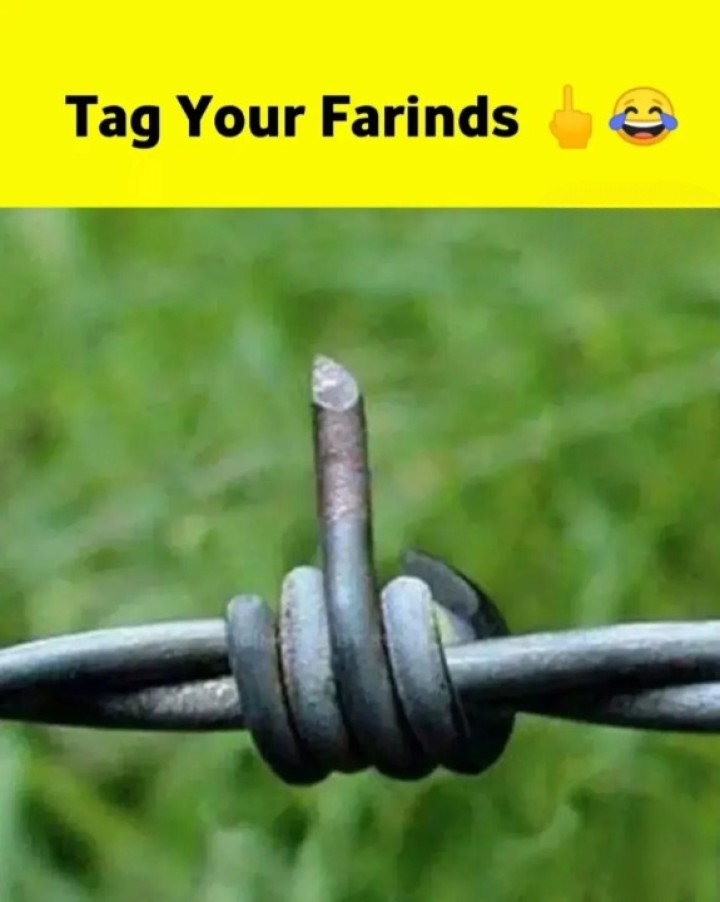 Share with your friend