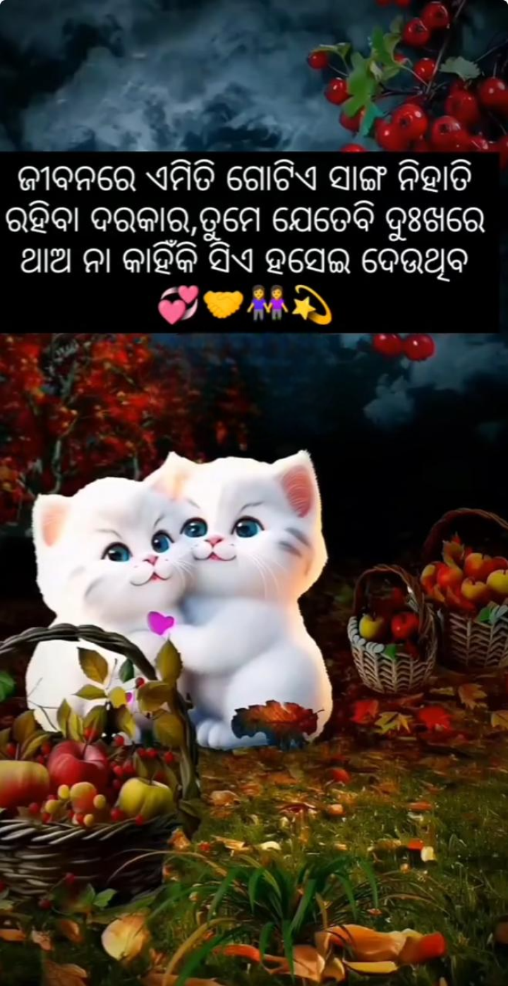 ଜୀବନରେ ଏମିତି ଏକ ସାଙ୍ଗ ନିହାତି ଦରକାର