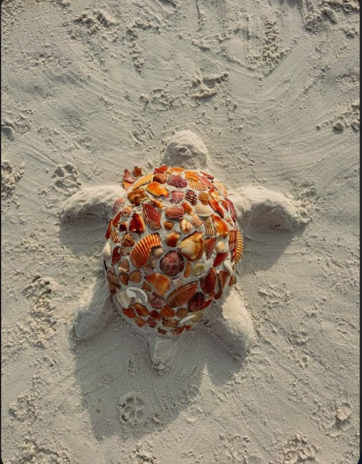 ಈ ಕಲೆಗೆ ಒಂದು ಸೆಲ್ಯೂಟ್