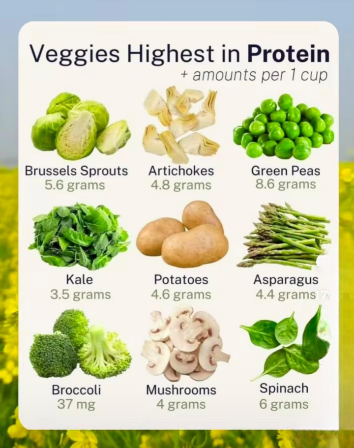 Highest protein veges