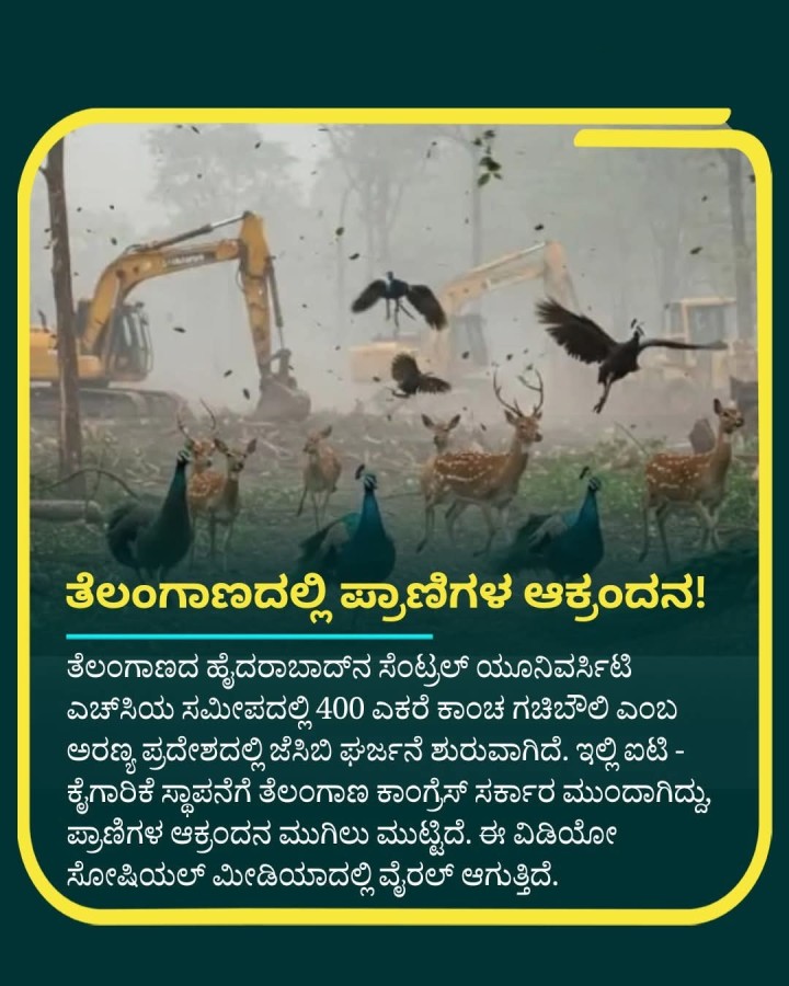 ತೆಲಂಗಾಣದಲ್ಲಿ ಪ್ರಾಣಿಗಳ ಆಕ್ರಂದನ!