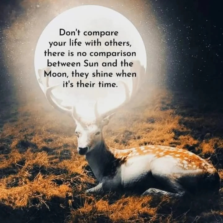 Don't compare...